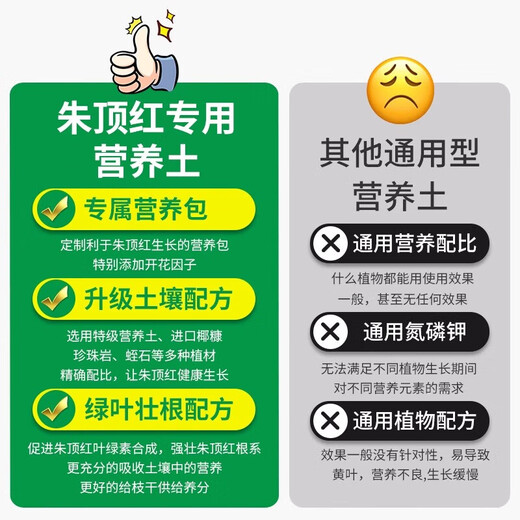 Amaryllis special soil bulb seed ball nutrient soil special fertilizer flower cultivation soil household organic soil Amaryllis special soil 10 liters