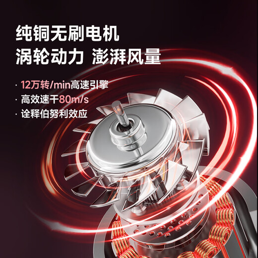 RUAFEE high-speed hair dryer, hollow quick-drying hair care household plasma hair dryer, high-power negative ion far infrared hair dryer for women that does not damage hair, national subsidy, Xinyue powder, hair drying time is halved