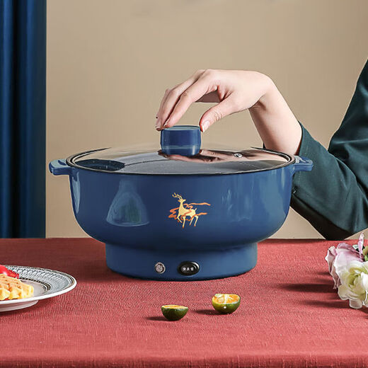 WESTT RIVER exports German electric hot pot for household all-in-one cooking, electric wok, multi-functional cooking pot, steaming, frying and non-stick white old double-eared pot 0cm 2.5L anti-leakage (non-stick pot) for frying and rinsing, for 1-3 people 20