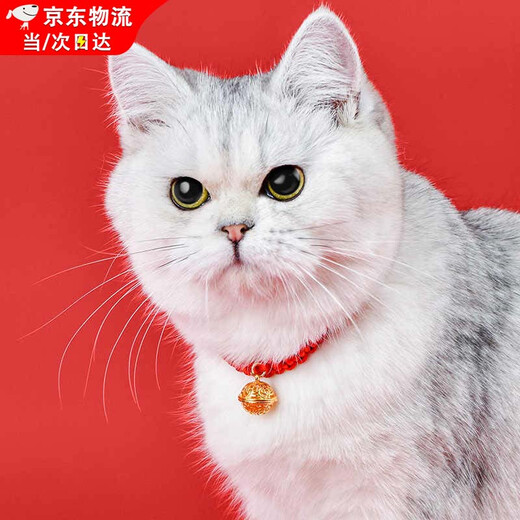 Lan Lian Cat Collar Neck Decoration Pet Necklace Collar Kitten New Year Red Rope Bell Chinese Style Dog Collar Accessories Red Rope-Bell Style Range 18-32cm