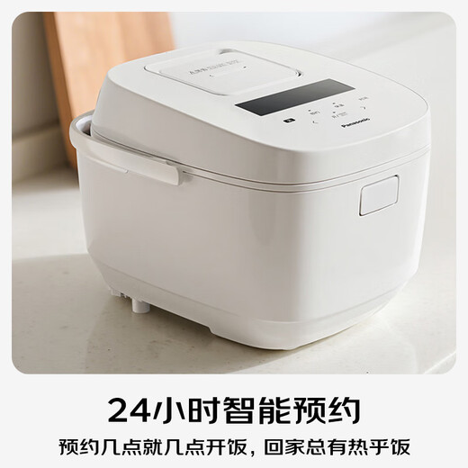 Panasonic (Panasonic) National Subsidy 20%