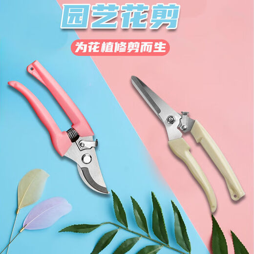 Yanran gardening scissors, garden pruning shears, potted plant pruning artifacts, floral pruning shears, household greening grafting flower shop, floral pruning pliers
