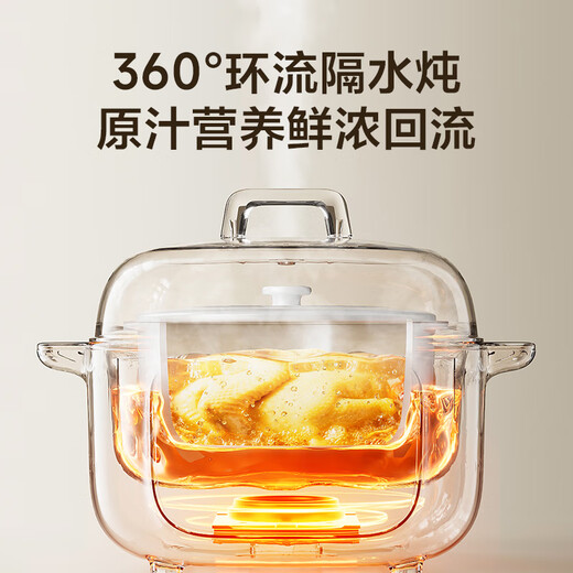 Supor electric stew pot, water-proof stew pot, household soup pot, bird's nest stew pot, 4.5L stew pot, steaming and stew all-in-one multi-function pot, five galls in one pot, white porcelain 2.5L with steamer