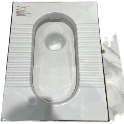 Jiumu Squat 14099 Baño