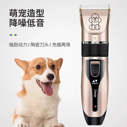 Pet hair clipper electric clipper for dogs and cats Teddy hair clipper special beauty high-power hair pusher pet hair clipper rich gold standard