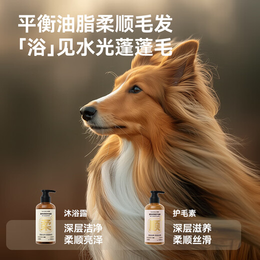 Homerun Caja de Secado Inteligente para Mascotas Secadora para Gatos Caja de Secado por soplado Completamente automática Baño para Perros Secador rápido Caja de Secado Inteligente para Mascotas PD62 Edición de Alta Velocidad + Set de Lavado y Cuidado