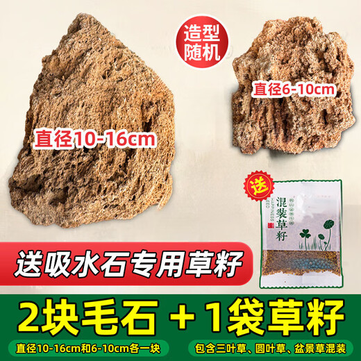 Absorbent stone natural stone bonsai fish tank courtyard large fish pond landscaping absorbent stone raw stone landscaping decoration 2 pieces absorbent stone rubble trial pack free mixed grass