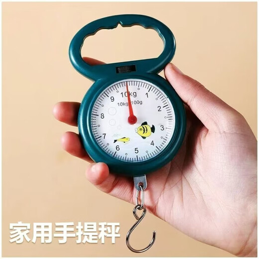 
Hand-held scale Spring scale Fishing scale Small scale Household portable hook groceries Scale High-precision mini luggage scale 10kg Hand-held scale - semicircular model - random color - 1 piece Can be weighed 10kg