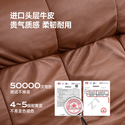 Chivas (CHEERS) First Class Smart Chair Leather Single Electric Sofa Wireless Charging Maillard Leisure Chair Chivas Regal 30266 Orange