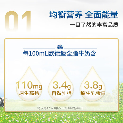 Oldenburger 3.8g protein high calcium whole milk 1L*12 box family/student/elderly milk breakfast milk