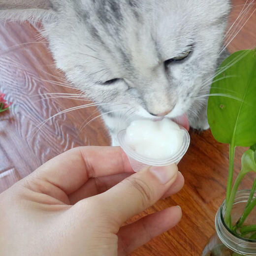 BOTH Platinum Goat Milk Pudding Cat Snacks for Adults and Young Cats Goat Milk Jelly Pet Cat Reward Snacks Nutritious Wet Food Fish Oil Pudding for Cats 50 Tablets*16g Barrel