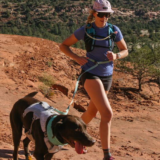 Ruff Wilvergland dog leash large dog ruffwear Golden Retriever Shiba Inu Teddy pet dog leash dog chain p chain Zhaoxia powder