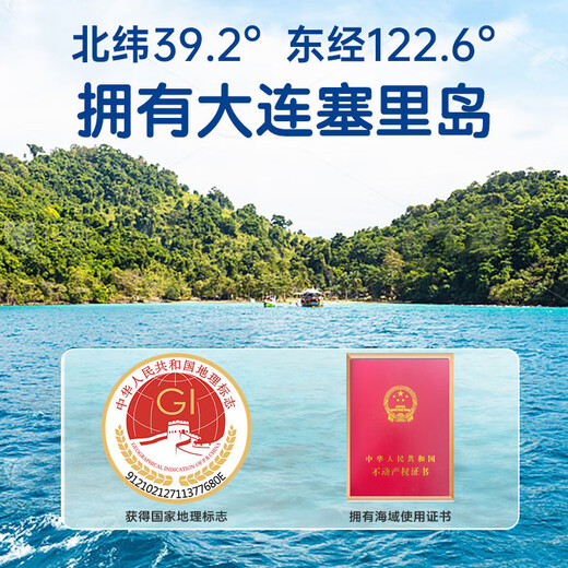 Haiyantang Dalian frozen ready-to-eat sea cucumber 1 Jin Jin is equal to 0.5 kg, 10-12 pieces, Liao sea cucumber seafood and aquatic products nourishing New Year gift box