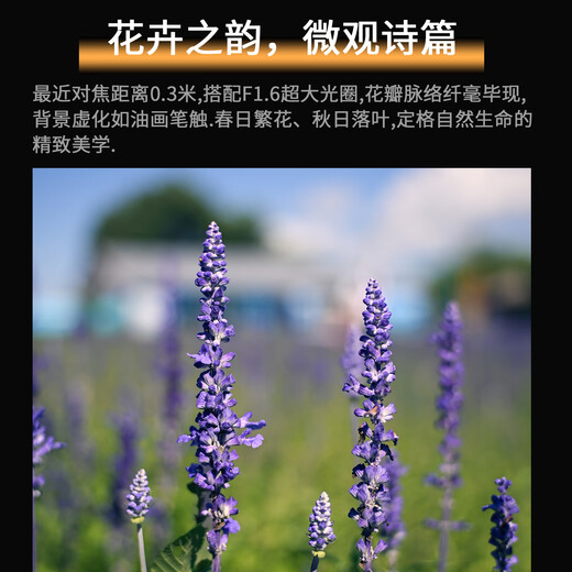 Cheka 35mmF1.6 second generation portrait retro portable lens for X, Z, R, E, M43 mount Sony E mount black