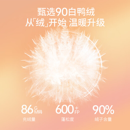 Xiangying Lightweight Down Jacket Women's Short 2025 Winter New Style Spliced Lapel 90 White Duck Down Dark Gray Jacket Dark Gray L 165/88A/110-125Jin Jin is equal to 0.5 kg