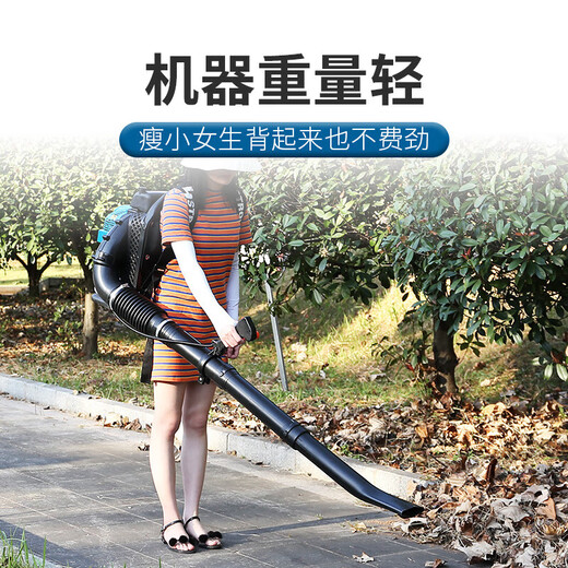 Piggy gasoline hair dryer engineering road administration blower wind power fire extinguishing road sweeper snow blower two-stroke high-end EB9757.0 horsepower