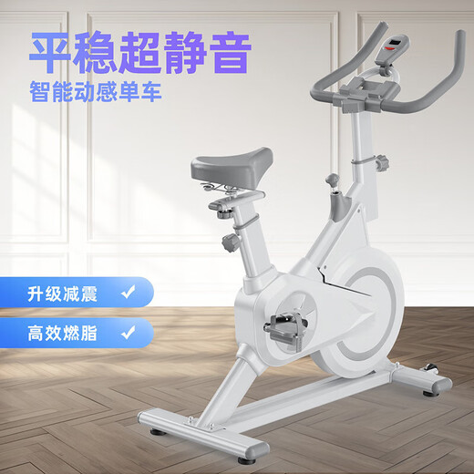 Xiaomi Stone All-Inclusive Flywheel Spin Bike Smart Home Equipment Sports Magnetic Control Small Indoor Bike Exercise Bike Efficient Black Classic Model (Naked Bike)