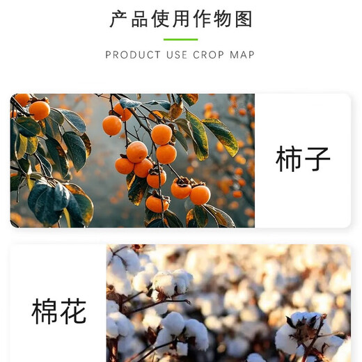 Feiling ethephon 40% ethephon water agent persimmon cotton tobacco banana tomato ripening plant growth regulator 1000g/bottle