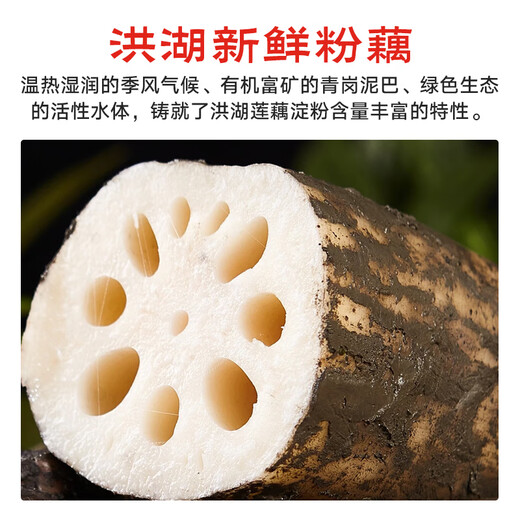 Jingxiansheng Hubei Honghu Fresh Lotus Root Flour Net Weight 4Jin Jin is equal to 0.5kg (packed in 4-6 sections) with mud to lock in freshness. Vegetables are sent directly from the source.