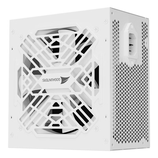 长城（Great Wall）额定850W P8白色铜牌直出线电源（ATX3.1/原生12V-2x6/单路12V/全电压/12CM风扇/支持5080显卡）