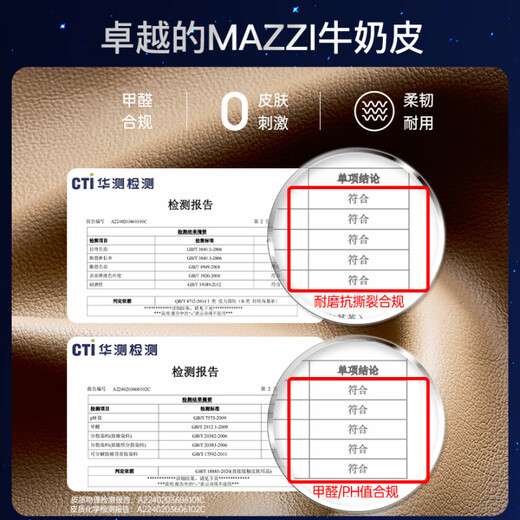 Songsheng Relaxation Fort Massage Chair Home Full Body S730 Fully Automatic Intelligent Space Capsule Orion Multifunctional Space-Time Series Sleeping Chamber Massage Chair S730/30 Massage Programs/Suitable for People 1.7 to 1.95 Meters