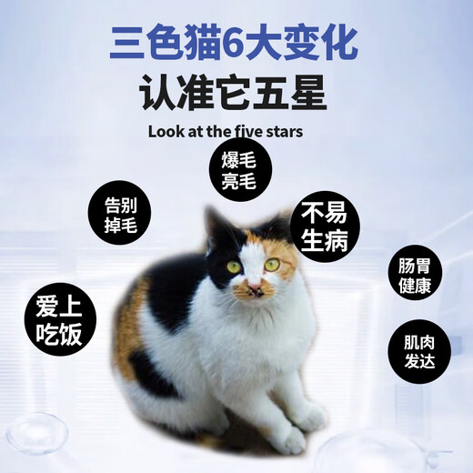 Its Secret Natural Grain-Free Cat Food for Calico Cats in Multiple Colors Its Secret Young Adult Main Food Dry Food Beautiful Hair and Fattening Nutrition 5Jin Jin is equal to 0.5kg