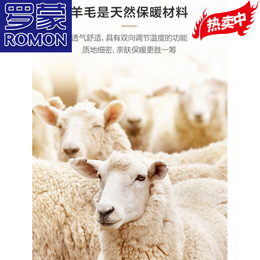 ROMON high-end striped wool suit men's business casual formal wear middle-aged men's banquet non-iron wedding suit gray MY5027 double slit L 175/48 recommended 130-145 Jin Jin equals 0.5 kg