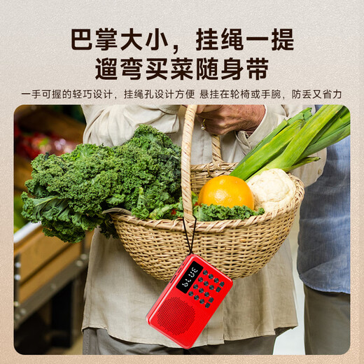 Newman (Newsmy) L1 radio for the elderly rechargeable plug-in card mini portable small opera player multi-functional small speaker 2025 new model