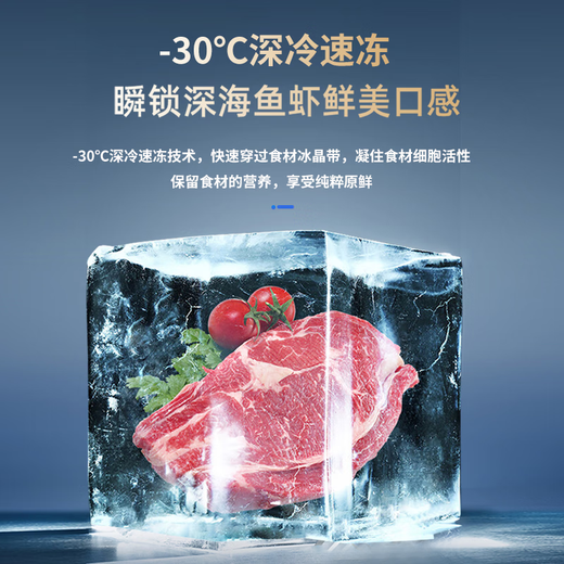 雪花冰柜商用大容量全冷冻家用卧式冷藏冷冻两用单温双温冷柜雪糕展示柜速冻柜 568双温ultra数显版|一级节能|减霜95%