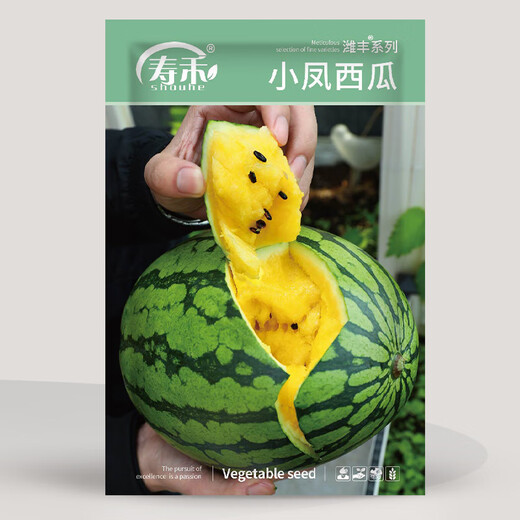 Shouhe watermelon seeds seedlings potted early maturing yellow heart gift melon fruit seeds Weifeng Xiaofeng watermelon seeds 15 pieces