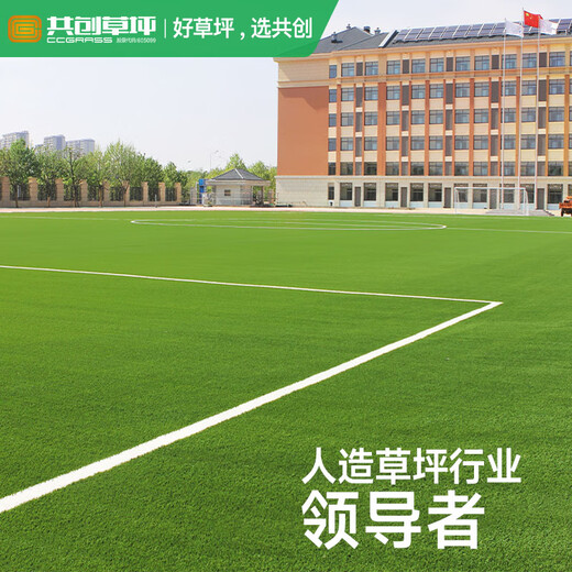 Co-Create Turf Artificial Turf Courtyard Kindergarten Golf Simulated Turf Garden Gym School Rooftop False Lawn Villa 30mm Economical Football Grass (No Filling)