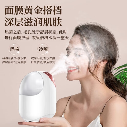 DIKTT German facial steamer, hot and cold spray, facial steamer, beauty salon, nano spray, hydrating artifact, beauty instrument, facial open pores, hot spray steamer, household facial steamer, top version, party powder, constant temperature hot spray, nano large spray