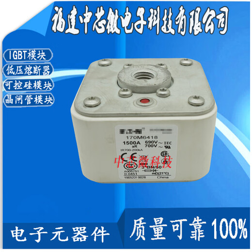 170M6415 170M6416 170M6417 170M6418 170M6419-fuse 170M6415(1100A/690V)