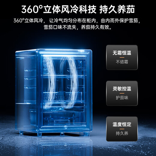 CIGARLOONG 33C cigar cabinet, constant temperature and humidity, cedar wood alcohol maintenance compressor, air-cooled, frost-free, smart small cigar cabinet, constant temperature and humidity control, cigar maintenance, household cigar humidifier, star ash box, nude maintenance, professional compressor + cedar wood cigar basket