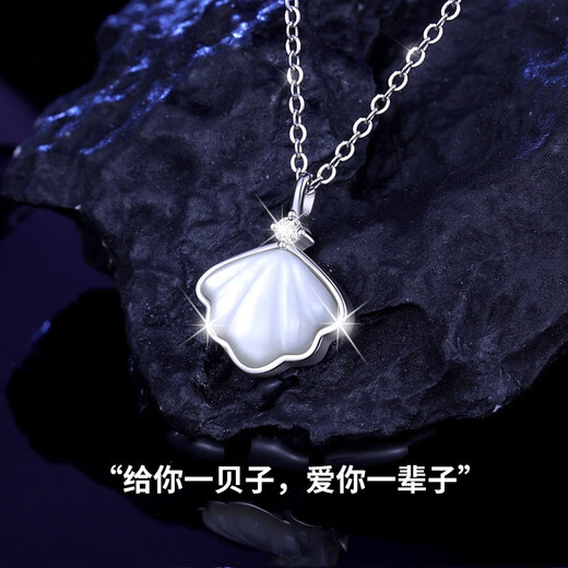 Ji Shizhe (GIEVSZHE) platinum pt950 platinum necklace with a shell pendant, birthday, Chinese Valentine's Day gift for girlfriend, noble platinum model - platinum necklace + white mother-of-pearl