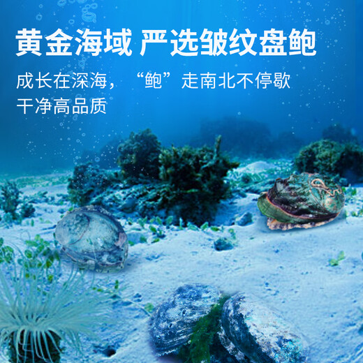 Zhangzidao Frozen Abalone 300g 6 pieces, braised ingredients package with removal of dirt and membrane, hot pot soup, seafood and aquatic products, New Year’s gift