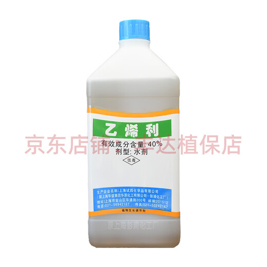 Feiling ethephon 40% ethephon water agent persimmon cotton tobacco banana tomato ripening plant growth regulator 1000g/bottle