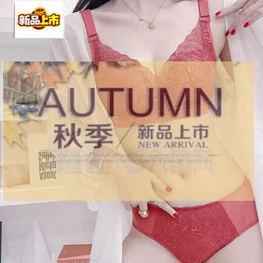 MIDNITE STAR adjustable underwear set, push-up, comfortable, auxiliary breasts, anti-sagging, non-magnetic, non-wireless, push-up bra, caramel set (underwear + underwear) 90A 40