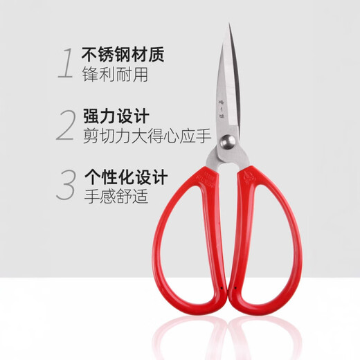 Zhang Xiaoquan stainless steel household pointed scissors, essential for paper cutting and thread cutting, large size 17.4cm large size (17.4cm)