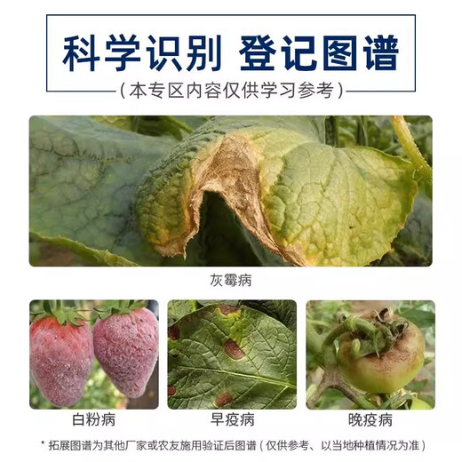 25% Pythium chlorothalonate fumigant, tomato gray mold fumigation, pesticide smoke fungicide, greenhouse smoke fumigant 200g*5 bags