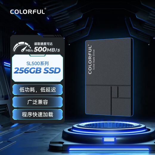 七彩虹(Colorful)  256GB SSD固态硬盘 SATA3.0接口 SL500系列