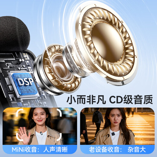 Good Shepherd Wireless Lavalier Microphone Live Anchor Special Mobile Phone Little Bee Radio Microphone Outdoor Interview Short Video Conference Recording Equipment Professional Noise Reduction Radio One to Two