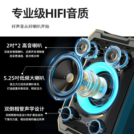 Philips (PHILIPS) square dance audio outdoor stage high-power mobile portable trolley speaker wireless Bluetooth high-volume karaoke amplification with dual microphone SD308