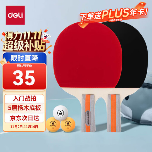 得力（deli） 乒乓球对拍学生儿童成人入门训练品质胶皮弹力耐打娱乐直拍套装 