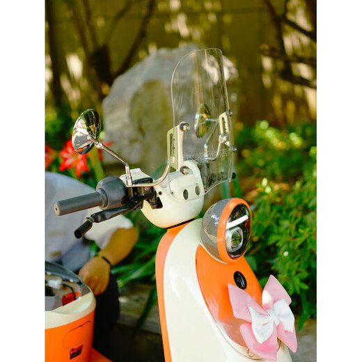 Jisuchi adapts to No.9 Q385C/Q380C accessories No.9 electric car Q385C80C instrument cover child seat Q3 ancient round rearview mirror place an order