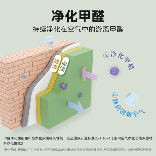 Nippon Paint Bamboo Charcoal Anti-Formaldehyde Odor-Free 5-in-1 Antibacterial, Formaldehyde-Removal, Mildew-Resistant 5-in-1 Interior Wall Paint 18L White Paint