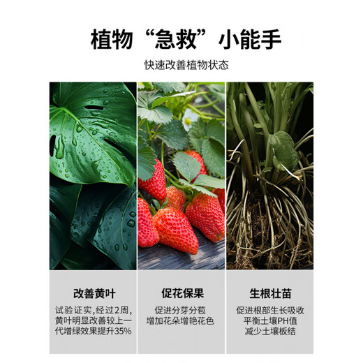 Potassium sulfate compound fertilizer 17-17-17 high-efficiency nitrogen, phosphorus and potassium general fertilizer for potted vegetables, flowers, blueberries and fruit trees general compound fertilizer Buy 2 Jin Jin equal to 0.5 kg Get 1 Jin Jin equal to 0.5 kg