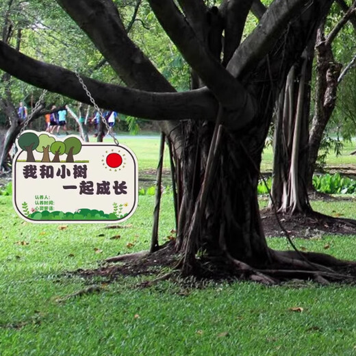 Listado del Día del Árbol Letrero de plantación de árboles Letrero de adopción de árboles Letrero de adopción de retoños de jardín de infantes Letrero de identificación de árboles Tablero de PVC de estilo DIY personalizado con cadena para colgar 16x10 cm