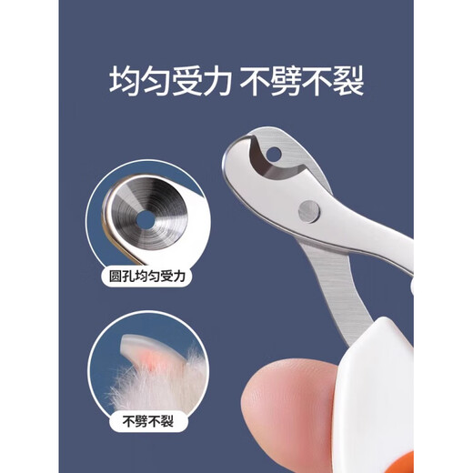 JCZS German quality cat nail clippers, special for novices, sharp 2025 new pet shop special nail blind scissors, round hole nail scissors, blue, no damage to the blood line