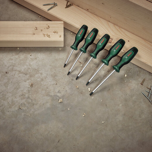 Bosch (BOSCH) S2 screwdriver German magnetic screwdriver set screwdriver repair and disassembly machine one-word Phillips screwdriver PH2x125